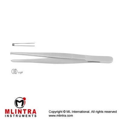 Dissecting Forceps 2 x 3 Teeth Stainless Steel, 12 cm - 4 3/4"